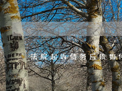 法院起诉债务应该如何赔偿 法院起诉债务应该如何赔偿
