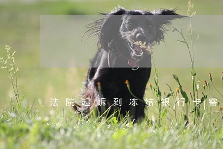 法院起诉到冻结银行卡需要多久