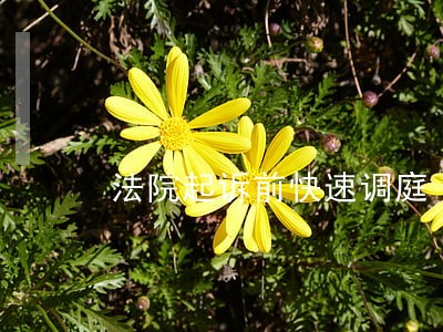 法院起诉前快速调庭