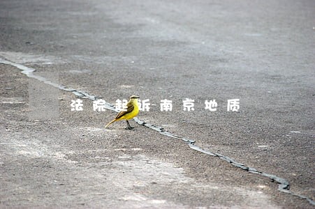 法院起诉南京地质 法院起诉南京地质