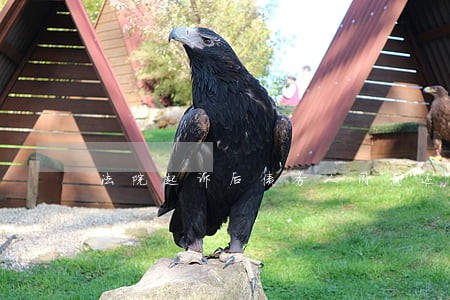 法院起诉后债务人同意还款 法院起诉后债务人同意还款