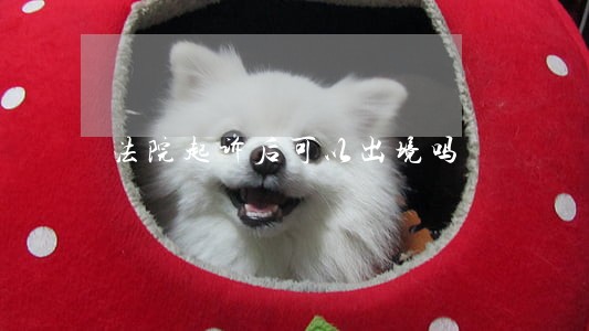 法院起诉后可以出境吗 法院起诉后可以出境吗