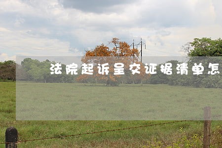 法院起诉呈交证据清单怎么写 法院起诉呈交证据清单怎么写