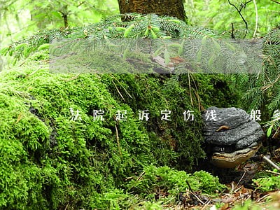 法院起诉定伤残一般多久 法院起诉定伤残一般多久