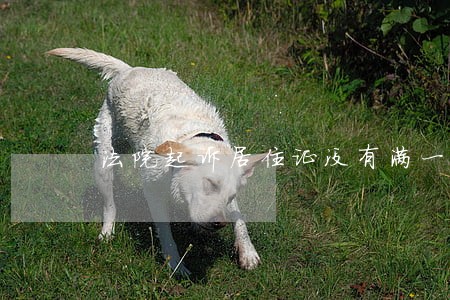 法院起诉居住证没有满一年怎么办 法院起诉居住证没有满一年怎么办