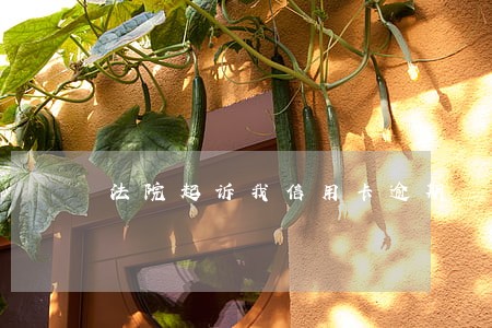 法院起诉我信用卡逾期 法院起诉我信用卡逾期