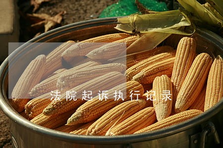 法院起诉执行记录 法院起诉执行记录