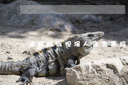 法院起诉担保人会变黑吗