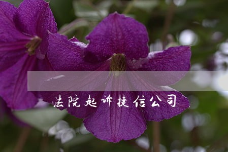 法院起诉捷信公司