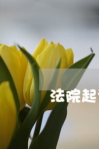 法院起诉提示函真假没有公章 法院起诉提示函真假没有公章