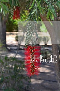 法院起诉有代理律师吗 法院起诉有代理律师吗
