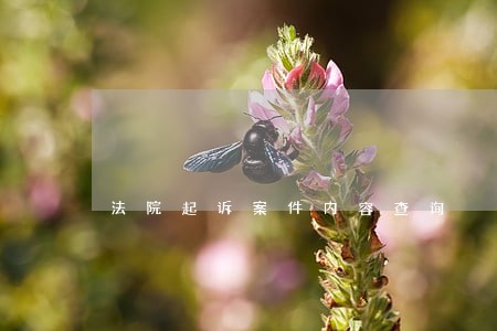 法院起诉案件内容查询 法院起诉案件内容查询