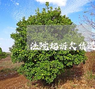 法院起诉欠债还款执行顺序 法院起诉欠债还款执行顺序