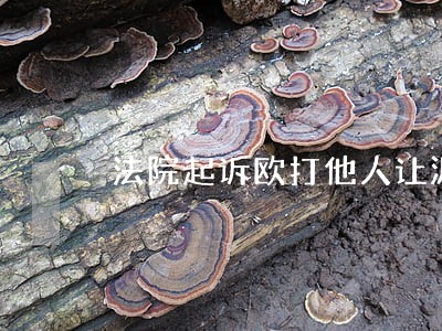 法院起诉欧打他人让派出所采证 法院起诉欧打他人让派出所采证