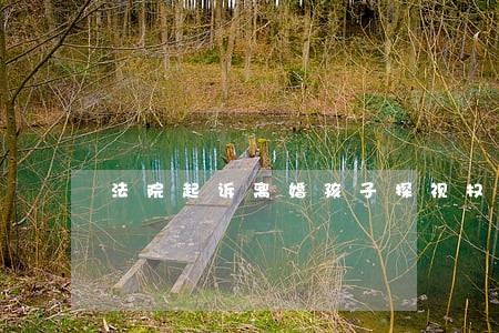法院起诉离婚孩子探视权 法院起诉离婚孩子探视权