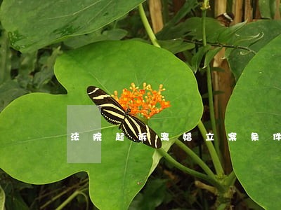 法院起诉离婚立案条件