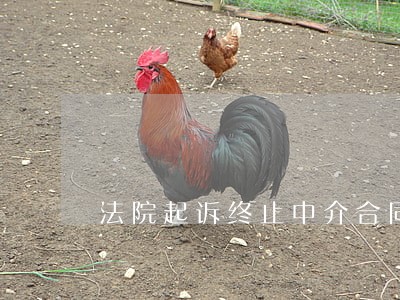 法院起诉终止中介合同