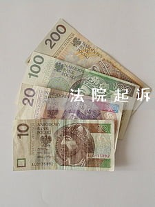 法院起诉罚款费用分配书 法院起诉罚款费用分配书