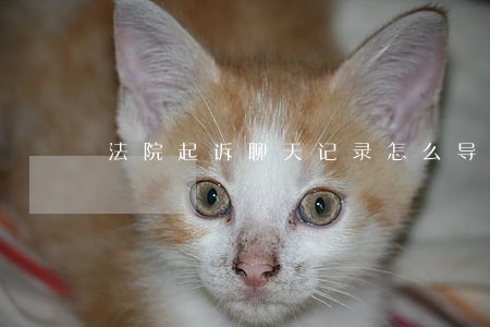 法院起诉聊天记录怎么导出