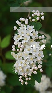 法院起诉茶叶过期 法院起诉茶叶过期