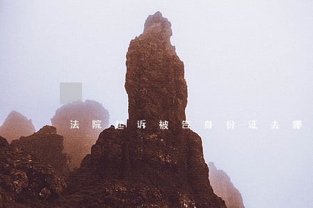 法院起诉被告身份证去哪里调