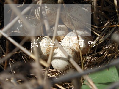 法院起诉认可吗 法院起诉认可吗