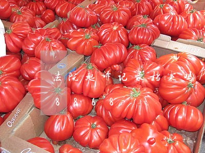 法院起诉记录档案吗/2023030388868