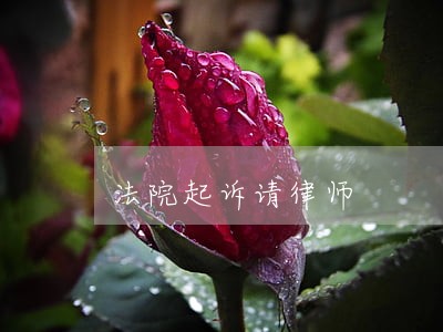 法院起诉请律师 法院起诉请律师