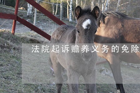 法院起诉赡养义务的免除 法院起诉赡养义务的免除