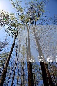 法院起诉赢了钱能拿回来吗 法院起诉赢了钱能拿回来吗
