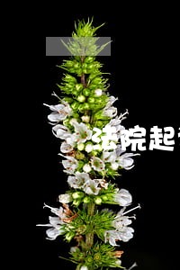 法院起诉还有找律师费用要多少钱 法院起诉还有找律师费用要多少钱