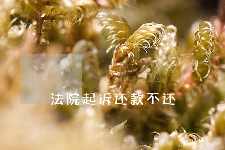 法院起诉还款不还 法院起诉还款不还