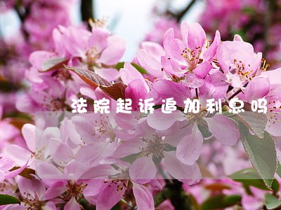 法院起诉追加利息吗 法院起诉追加利息吗