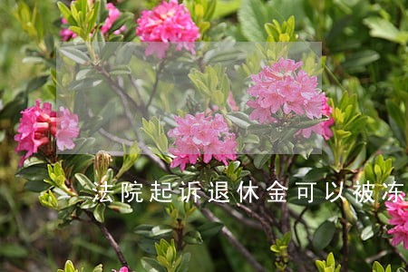 法院起诉退休金可以被冻结吗 法院起诉退休金可以被冻结吗