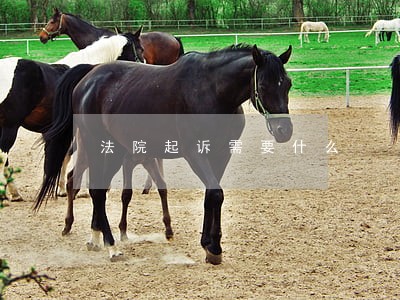 法院起诉需要什么 法院起诉需要什么