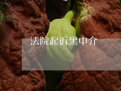 法院起诉黑中介