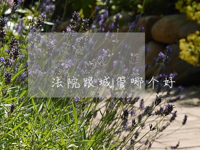 法院跟城管哪个好 法院跟城管哪个好