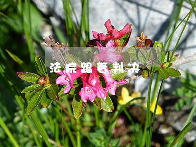 法院跟着判决 法院跟着判决