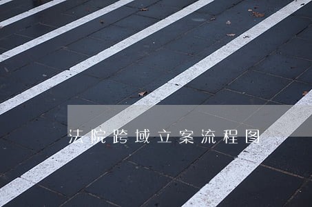 法院跨域立案流程图