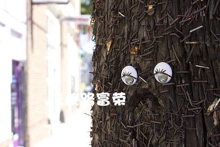 法院路富荣 法院路富荣