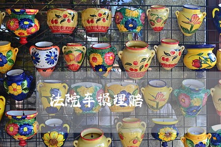 法院车损理赔 法院车损理赔