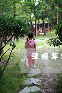 法院车辆拍卖信息阿里巴巴