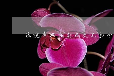 法院车辆拍卖成交不扣分 法院车辆拍卖成交不扣分