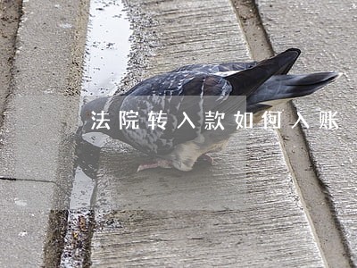 法院转入款如何入账 法院转入款如何入账