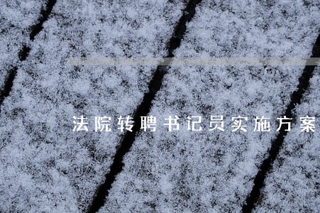 法院转聘书记员实施方案