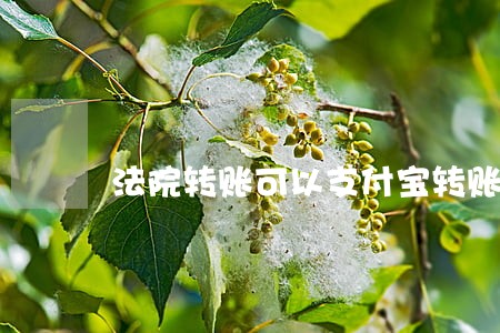 法院转账可以支付宝转账吗 法院转账可以支付宝转账吗