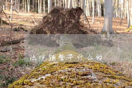 法院辅警干什么的 法院辅警干什么的