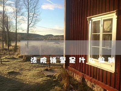 法院辅警是什么编制