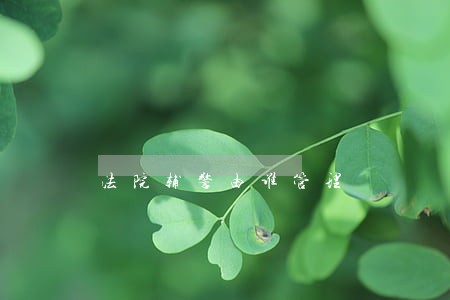 法院辅警由谁管理 法院辅警由谁管理