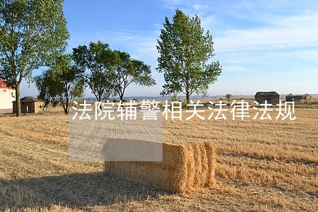 法院辅警相关法律法规 法院辅警相关法律法规